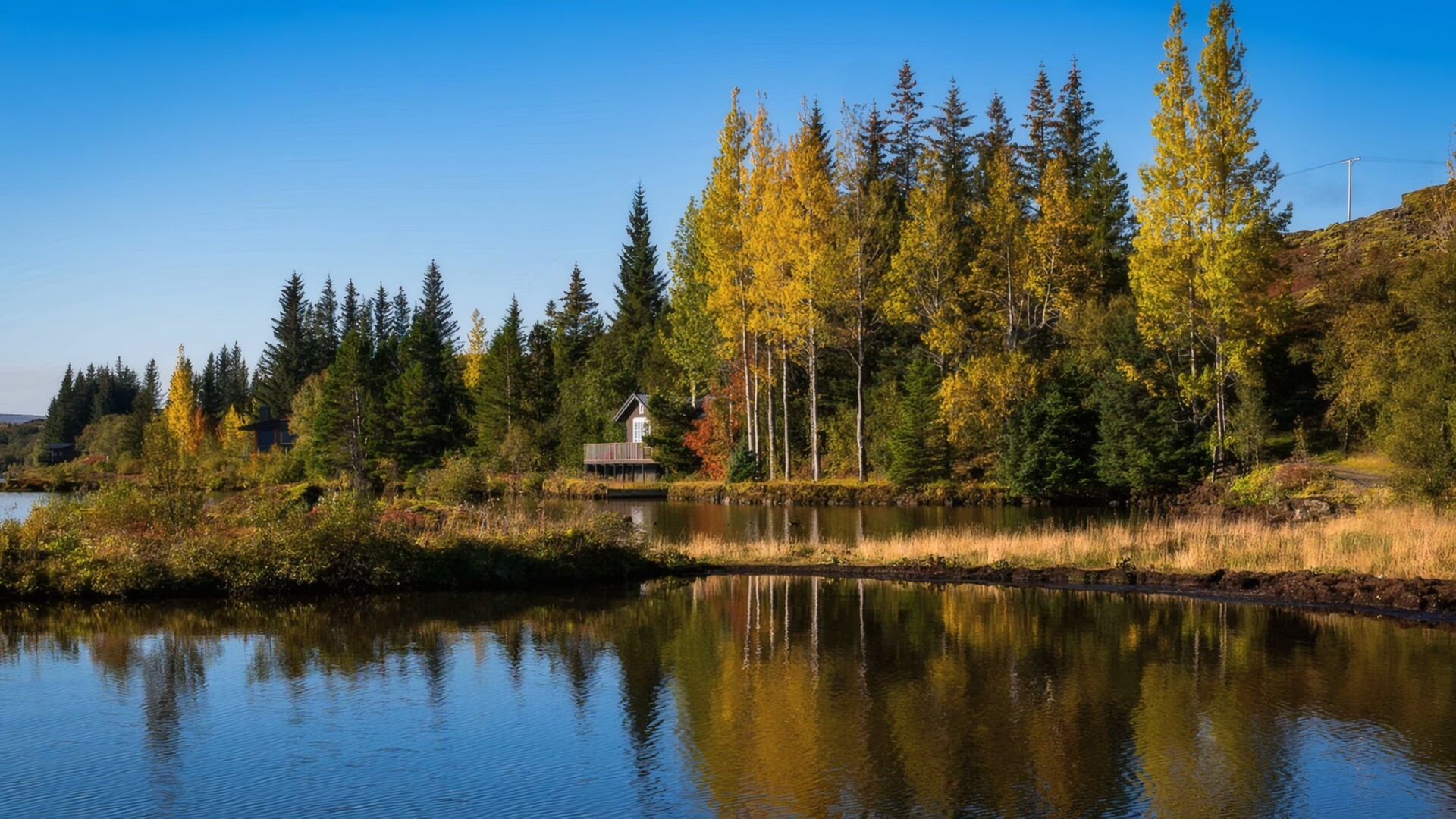 Golden Circle Day Tour with Friðheimar Farm - photo 17