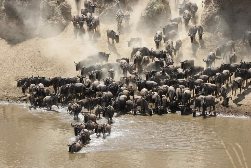 Emocionante aventura de 3 días en Tarangire, Ngorongoro y Manyara - Foto 4