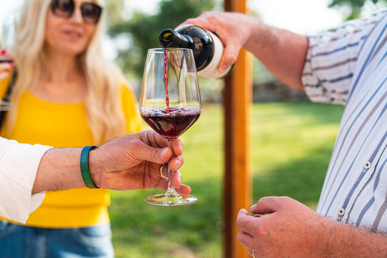 Wine tour and Tasting in a small Estate on Valpolicella Hills - Photo 8