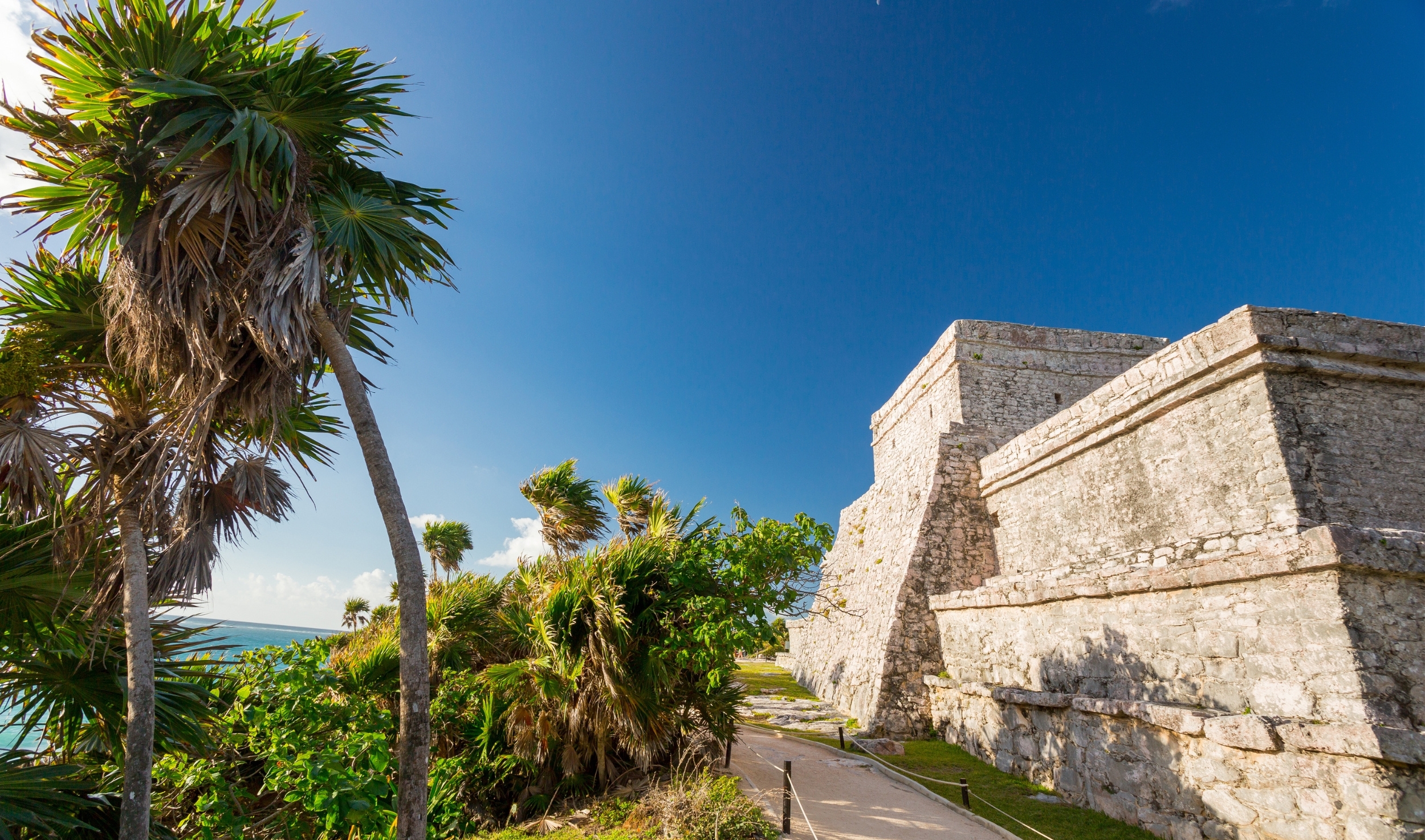Desde Cancún: Tulum, cenote Mariposa y nada con tortugas en Akumal — 10/15