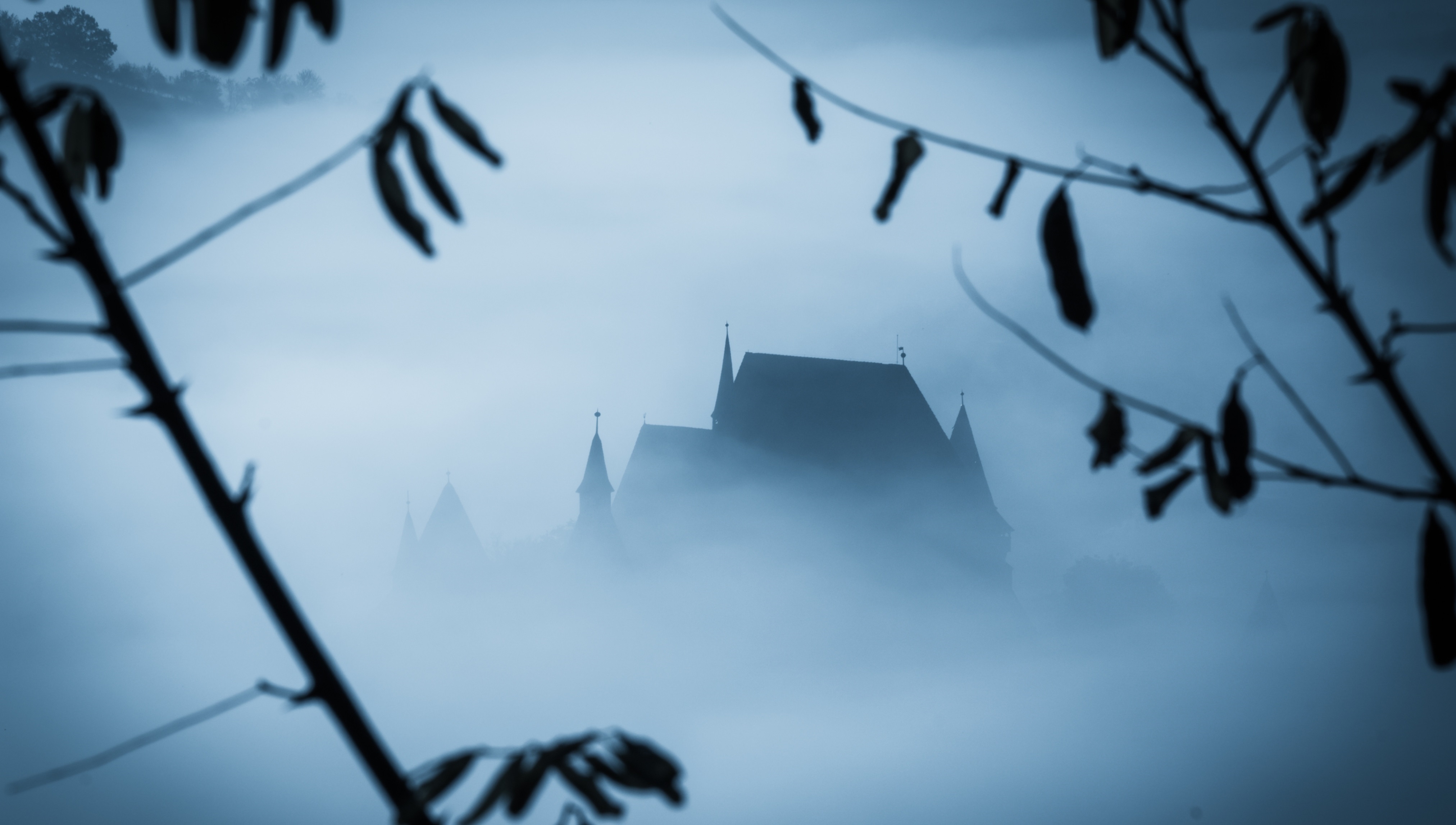 Shadowy castle silhouette rising from dense blue fog, foreground branches framing the mysterious, tranquil scene.