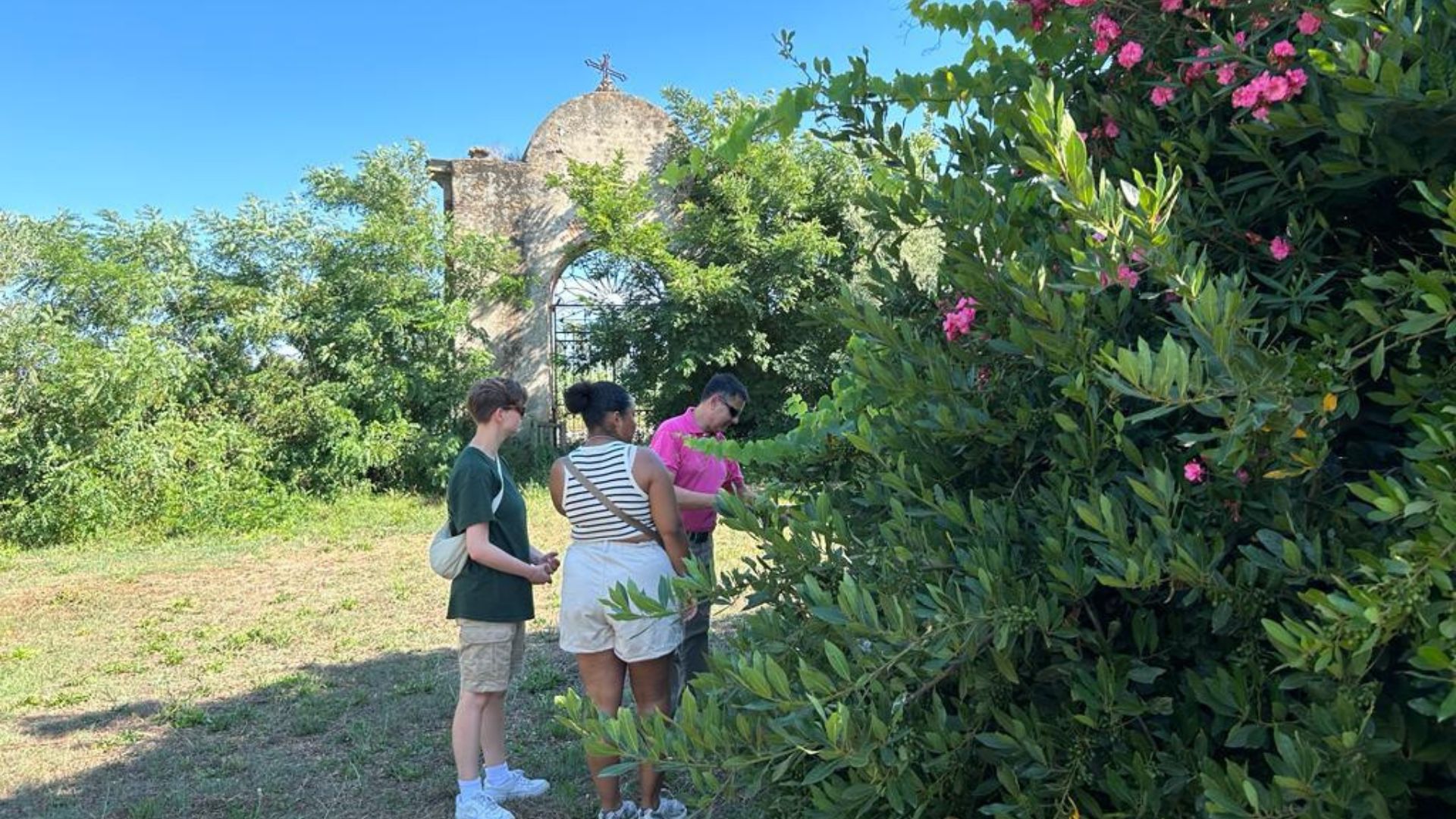 Walk among the olive trees and guided tasting in Oristano - Photo 7