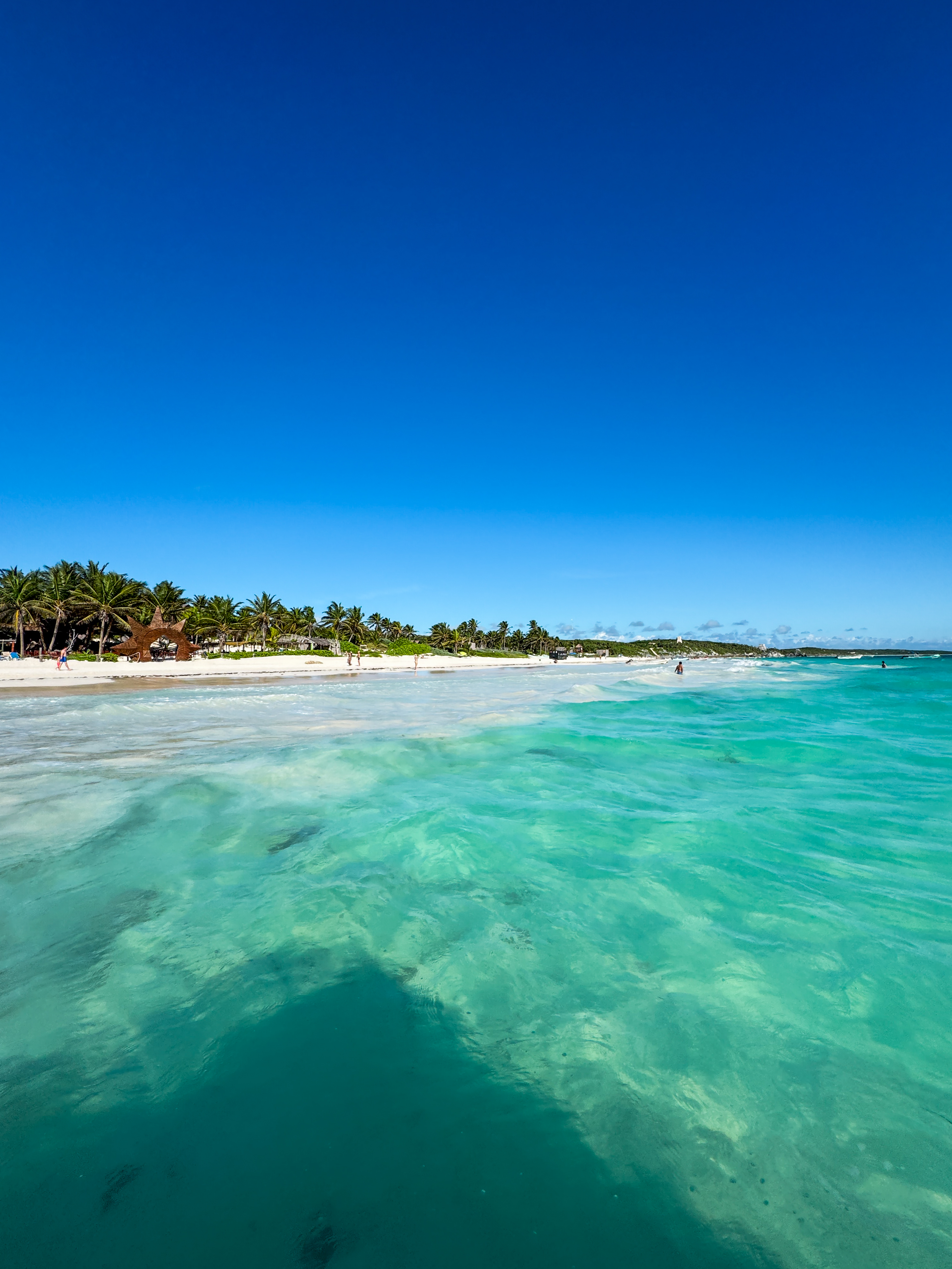 2 horas de Snorkeling en dos puntos del arrecife de Tulum — 77/78