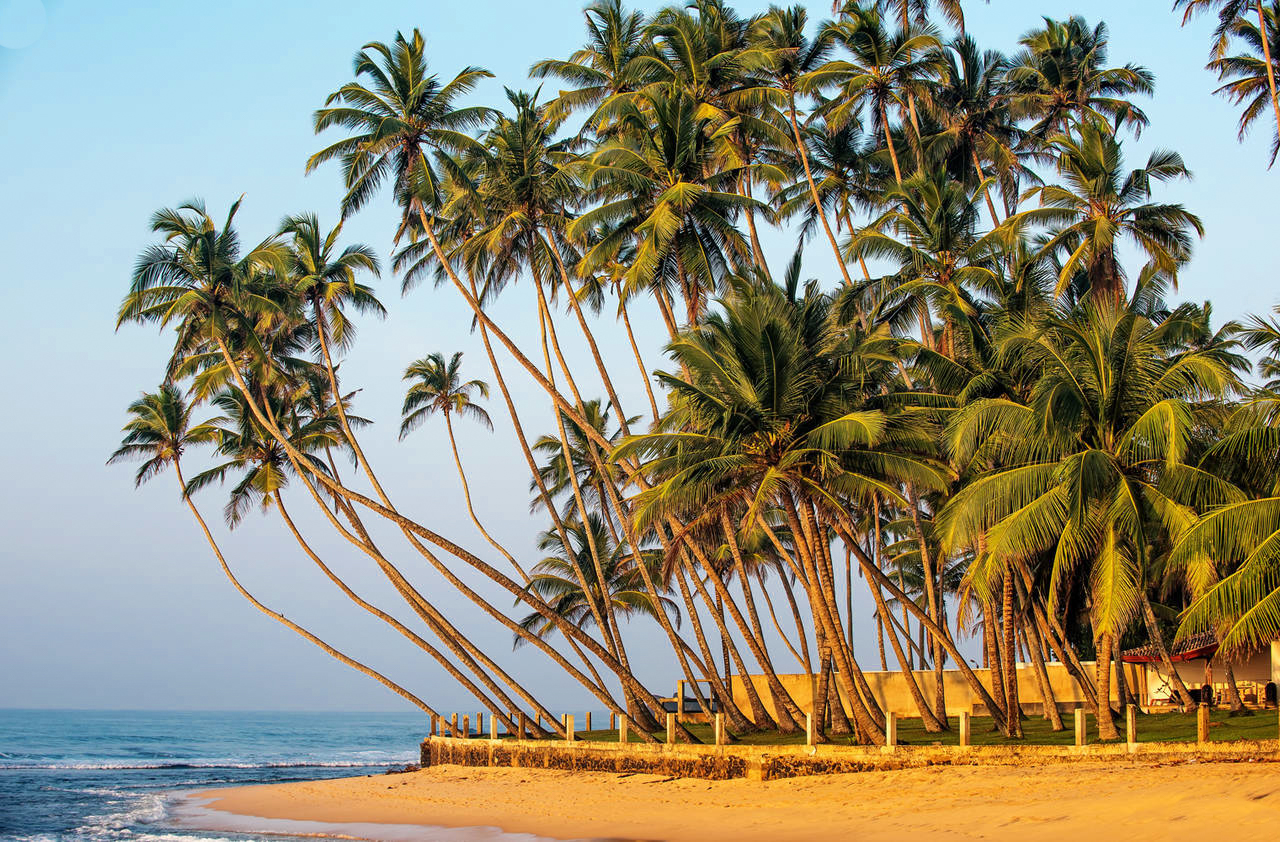 Hidden Temples and Secluded Coastlines from Galle City