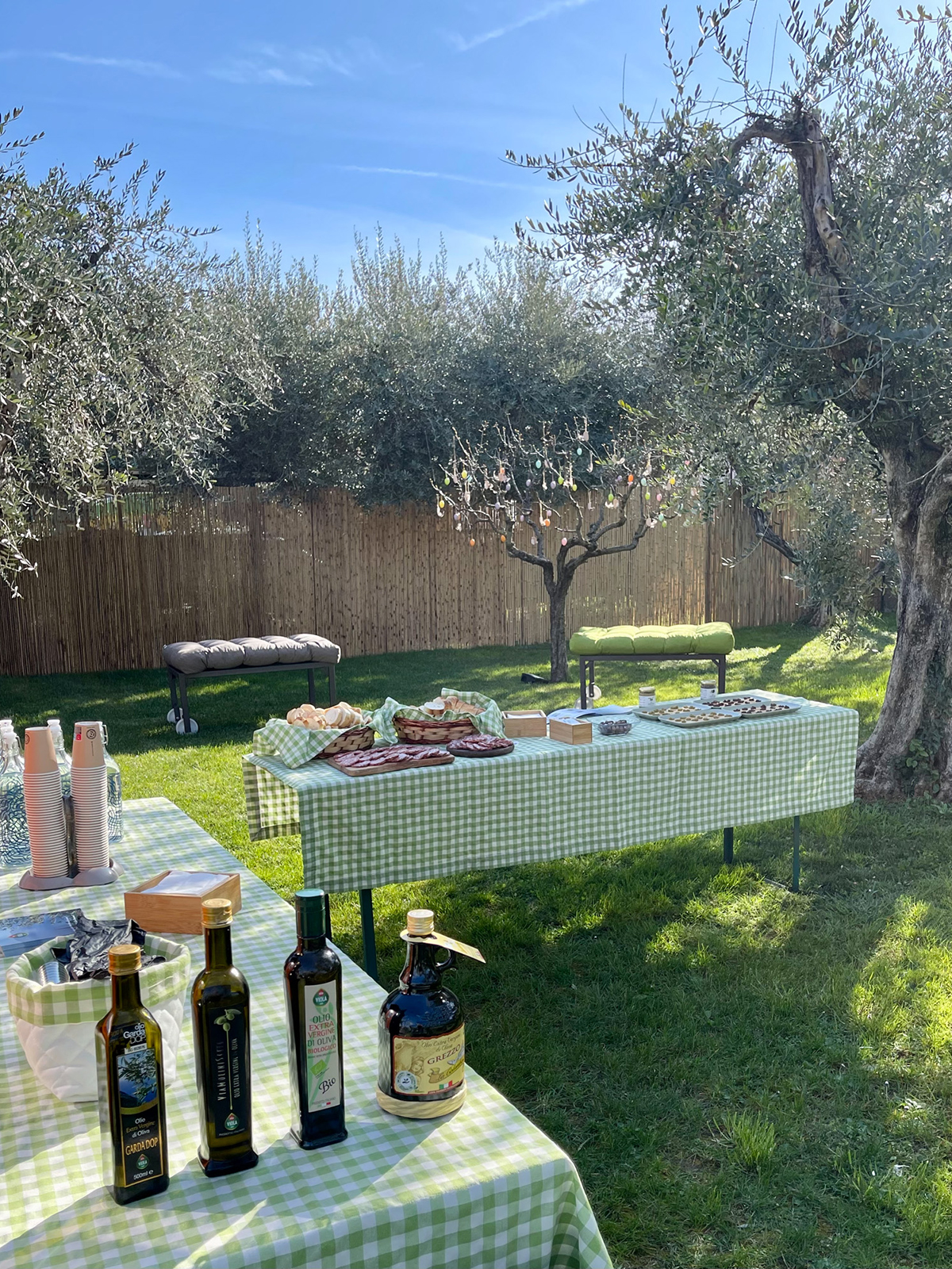 Lake Garda Olive Oil Tour and Tasting Experience - Photo 12