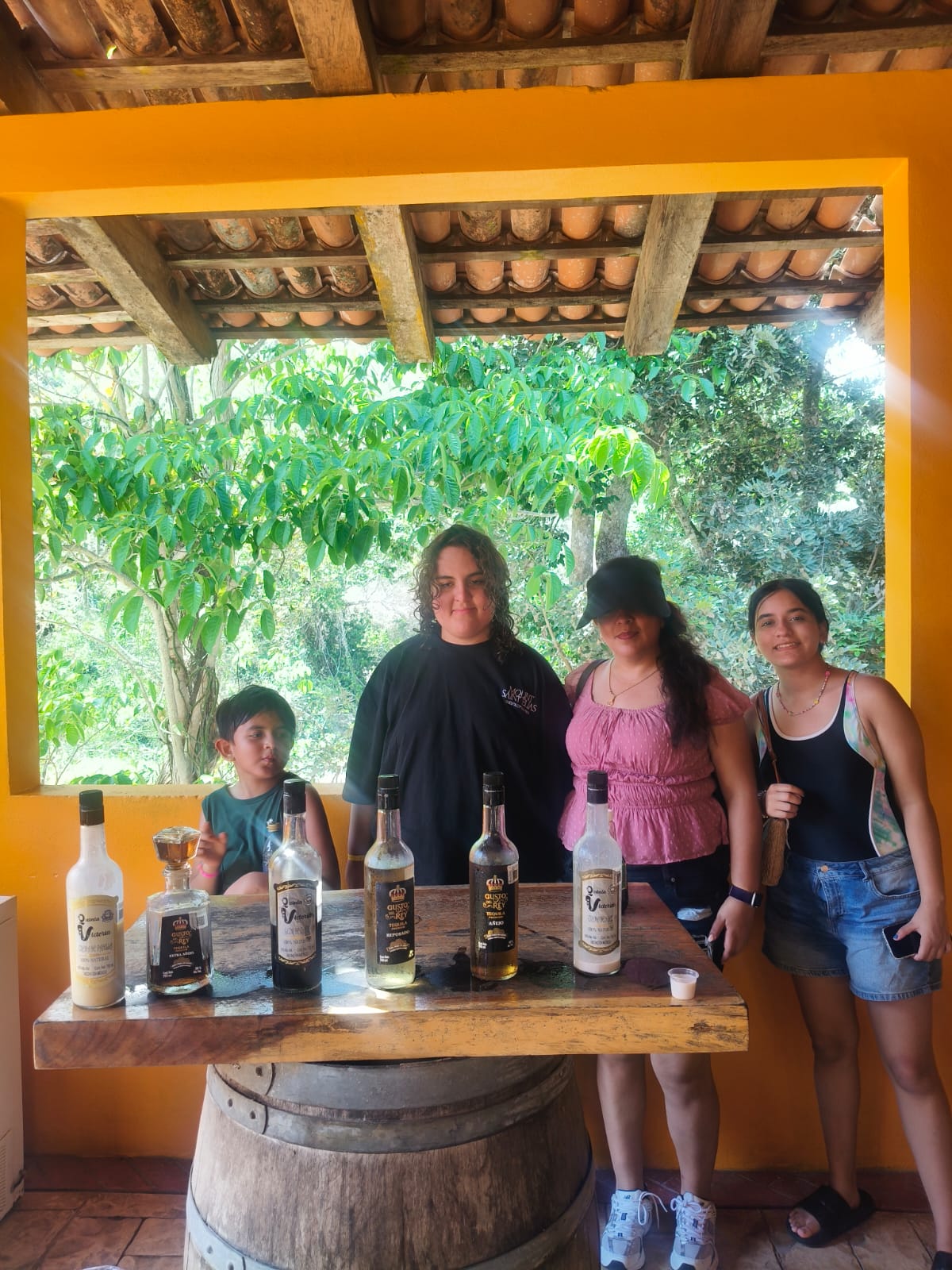 Desde Puerto Vallarta Tour Playa, Tequila y Rio — 13/18