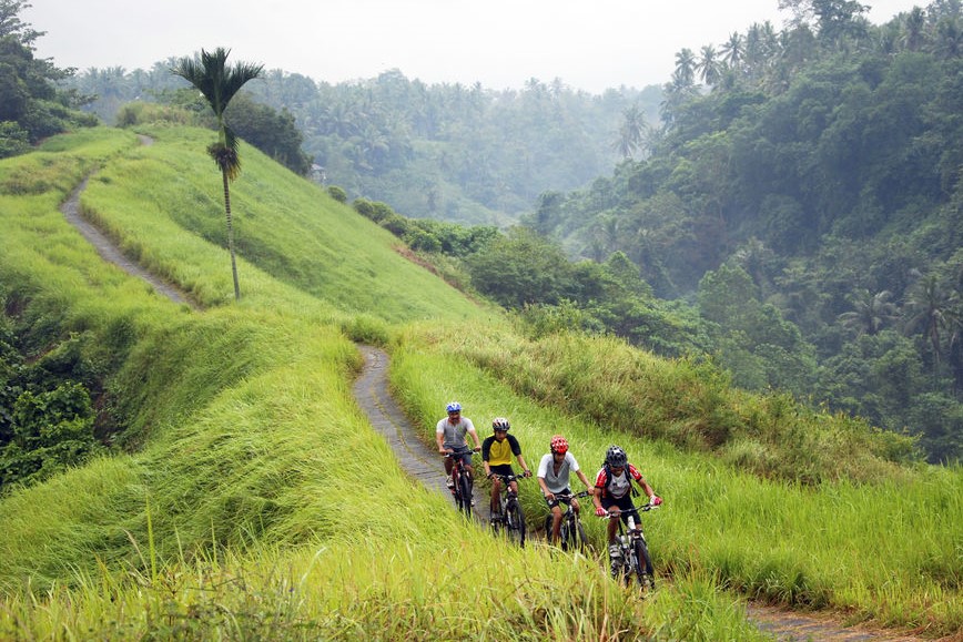 Ubud Electric Bike Tour to Tegallalang Rice Terraces – Image 1 | WeShare