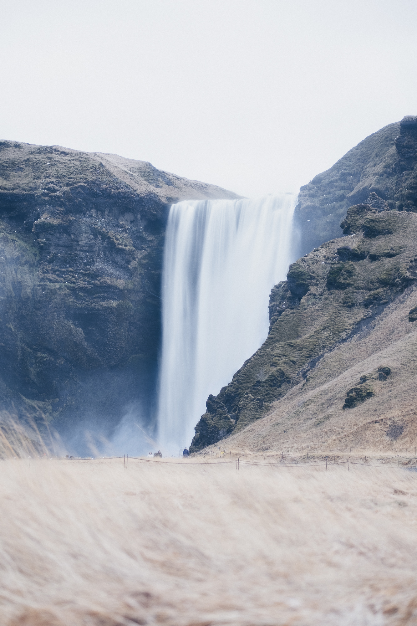 South Coast & Black Sand Horse Riding Tour - photo 16