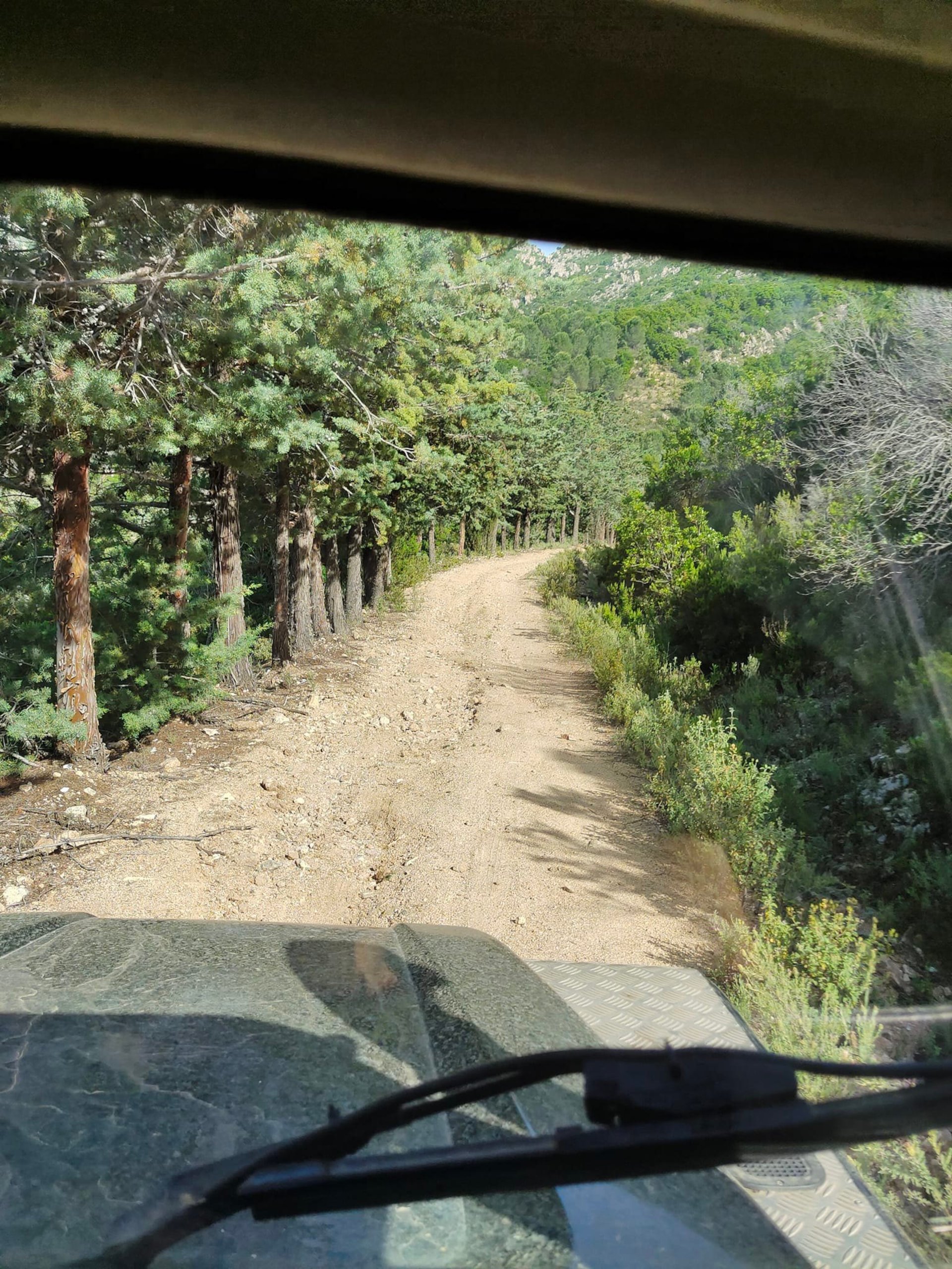 From San Teodoro: jeep tour to Rio Pitrisconi - Photo 5
