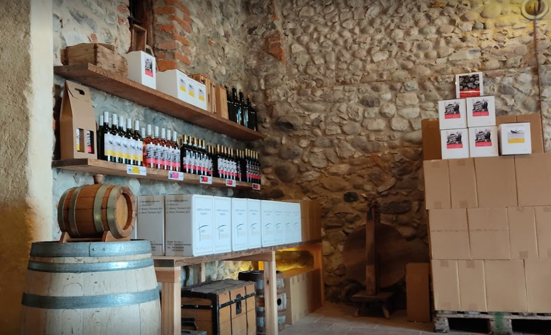 Vineyard tour and tasting of Garda Wines in Cavaion Veronese - Photo 12