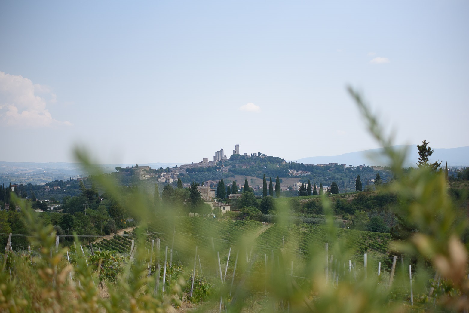 Small-Group Winery Tour with Tasting and Dinner in Chianti - Photo 135