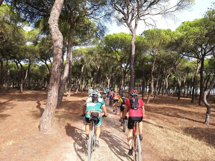 Ruta guiada en bicicleta por Las Marismas de Huelva (desde Punta Umbría)