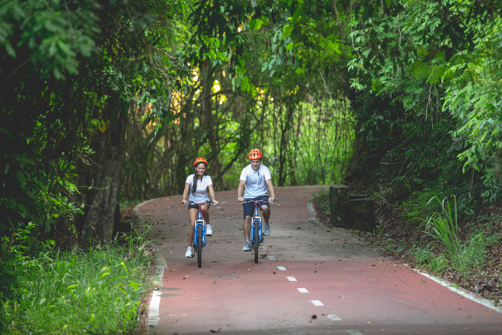 Paseo en bicicleta con almuerzo tipo buffet 