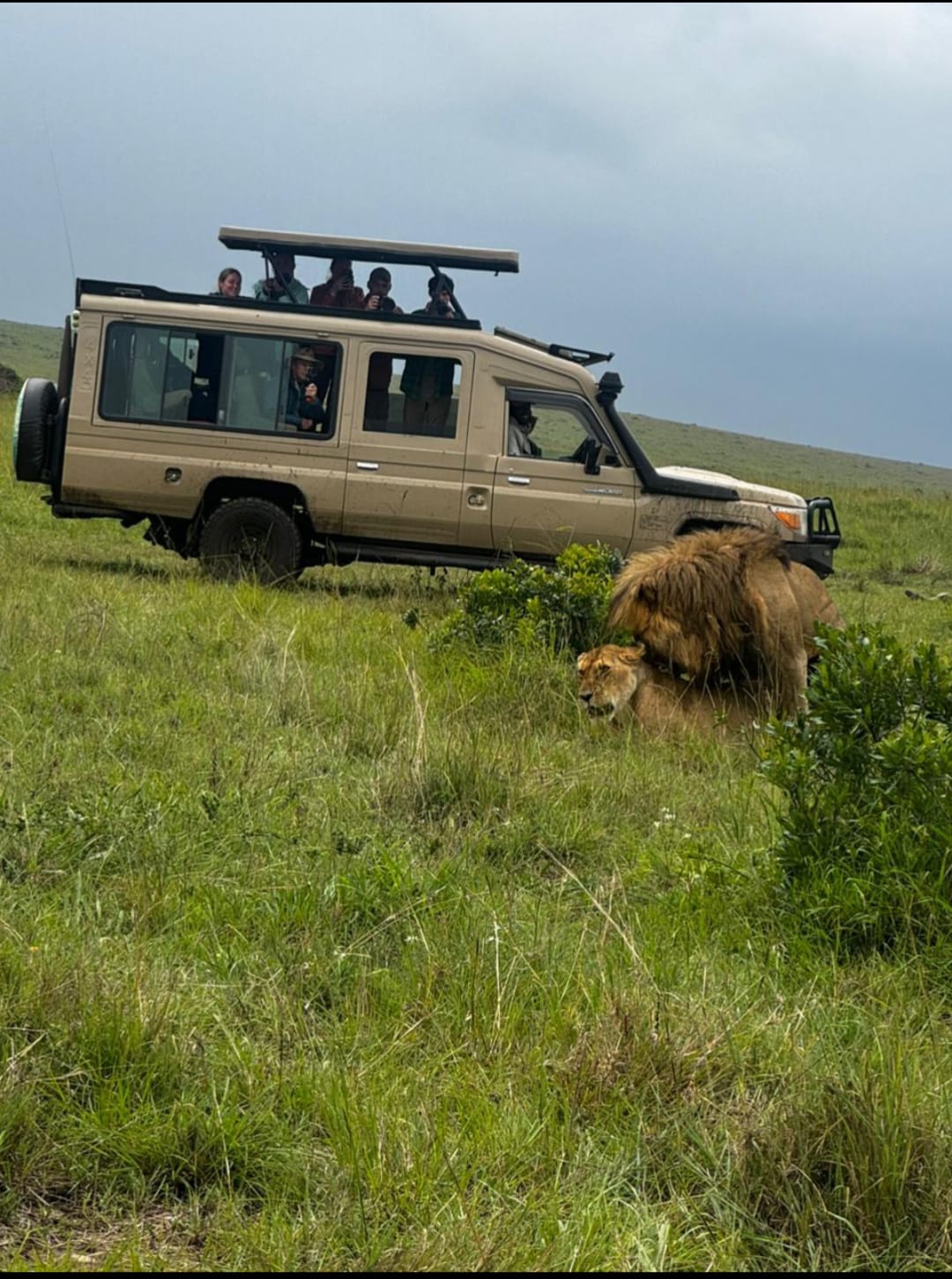 5 Días Masai Mara, Lago Nakuru Y Lago Naivasha