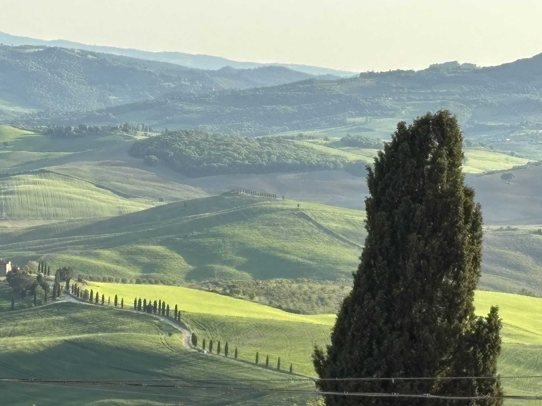 Val d’Orcia Wine Tour from Florence: Montalcino, Pienza & Brunello - Photo 20