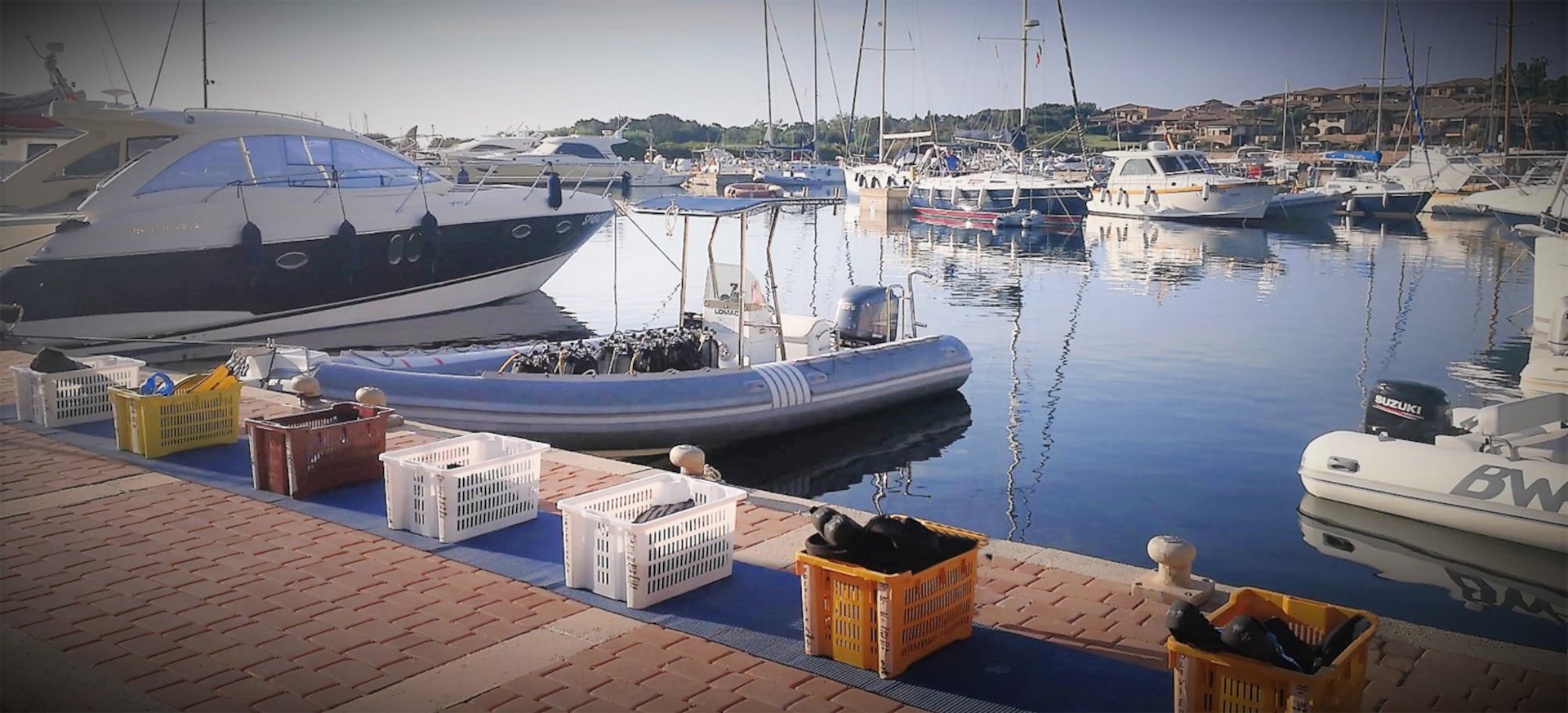 From San Teodoro: diving for professionals in Tavolara and Molara - Photo 14