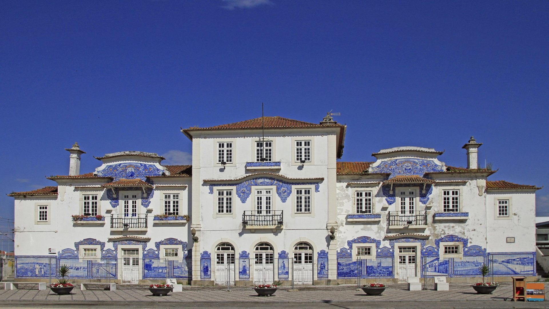 Aveiro & Bairrada Private Day Tour with Salt Pans and Sparkling Wine - Photo 10
