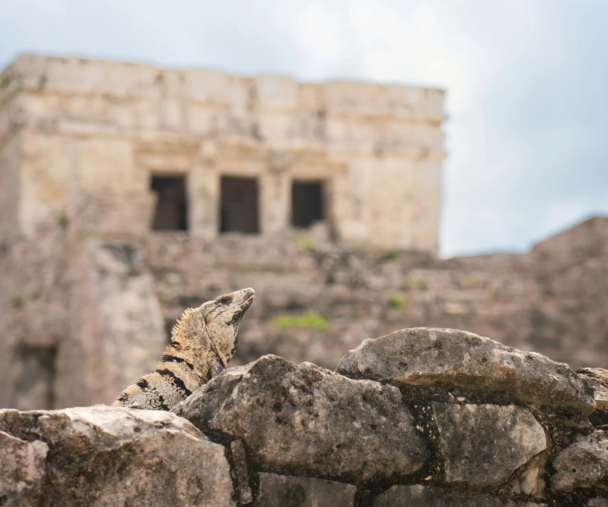 Excursión a Tulum y Akumal 2