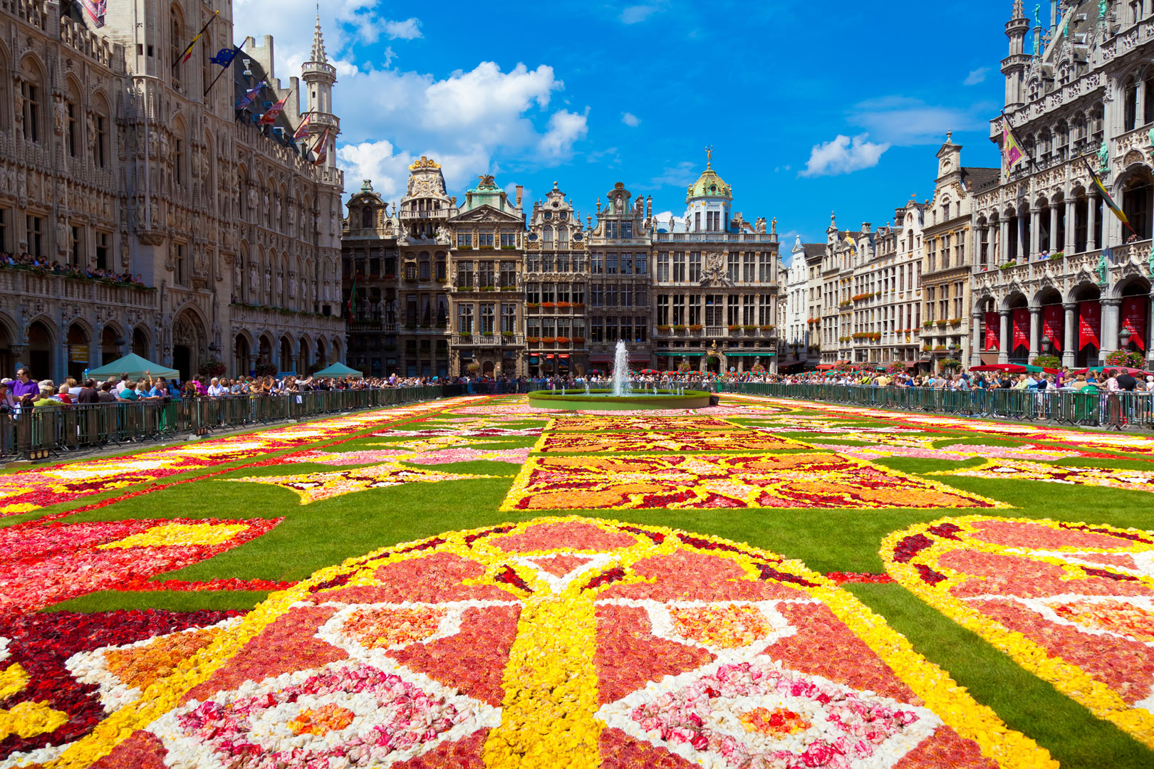 7-Day Belgium-Netherlands Small-group Trip by Minivan, 11 Excursions included - Photo 20