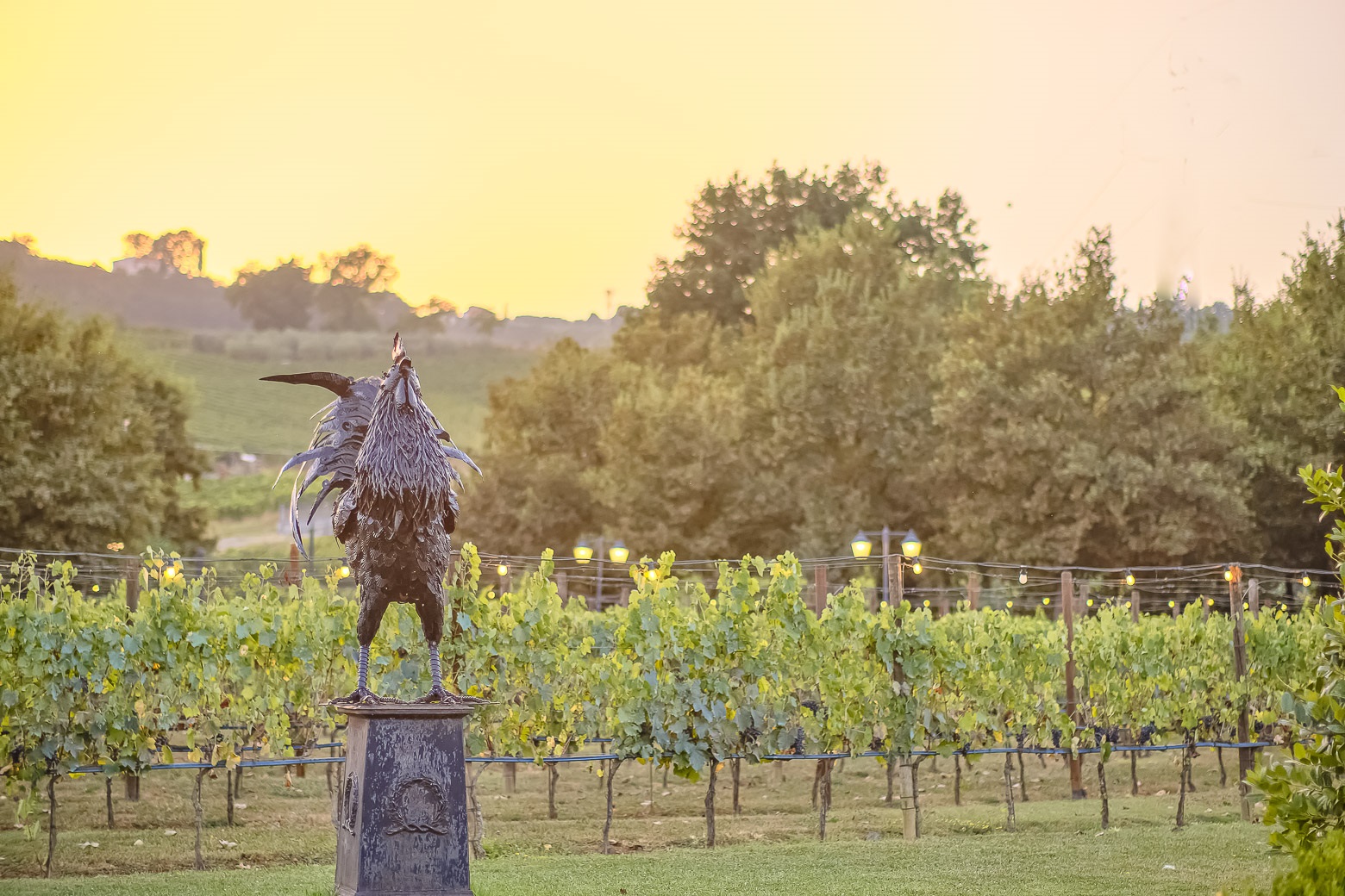 Small-Group Winery Tour with Tasting and Dinner in Chianti - Photo 95