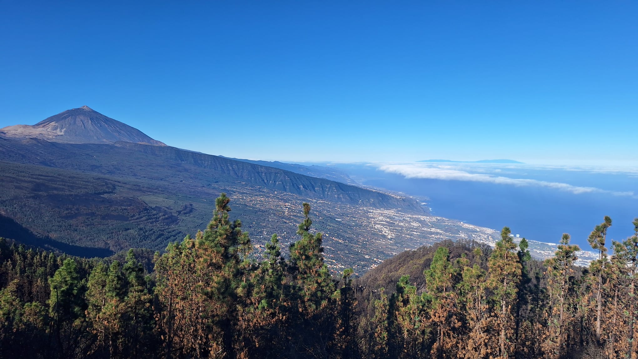 Excursiones privadas para cruceros - Photo 19
