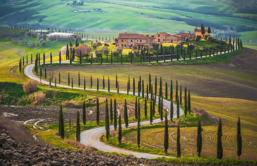 Brunello di Montalcino Wine tour from San Gimignano  - Photo 2