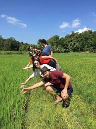Royal Botanic Garden and Village Life Tour from Kandy