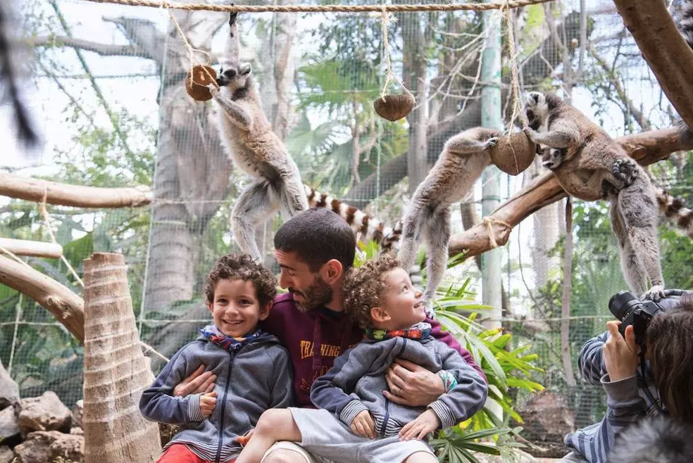 Oasis Wildlife Ticket Entrance + Lemur Experience