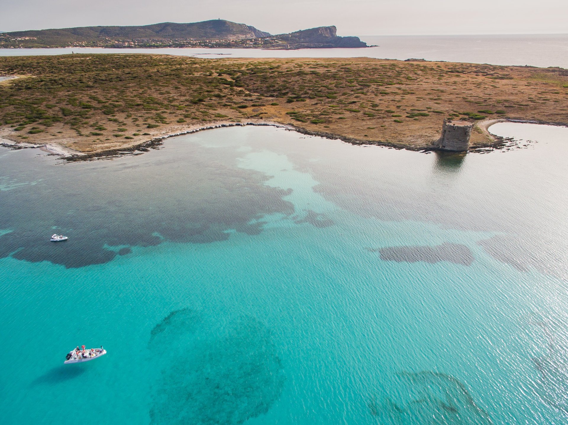 From Stintino: RIB tour in the gulf of Asinara - Photo 2