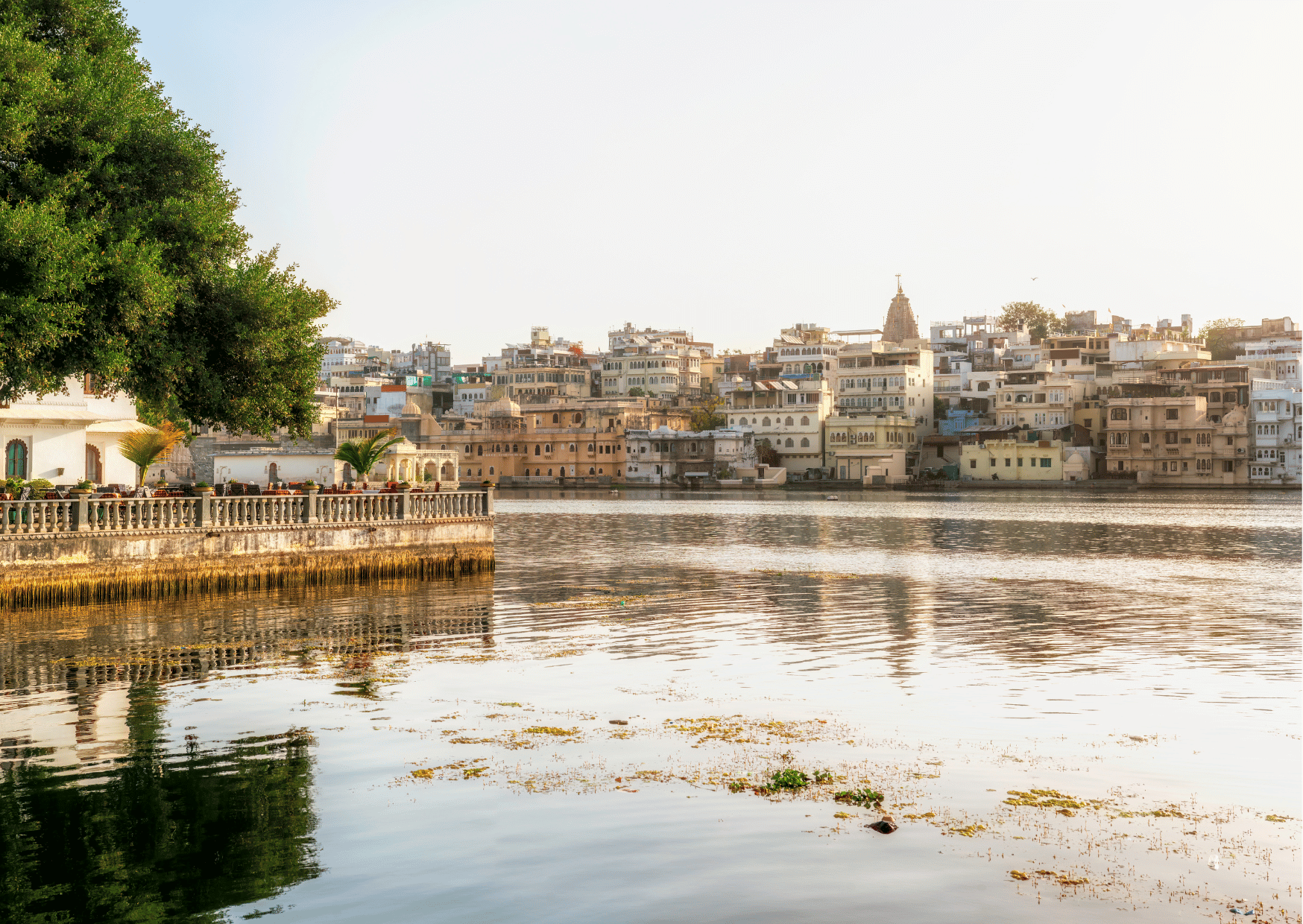 Highlights of the Udaipur (Guided Half Day Sightseeing City Tour) - Photo 7