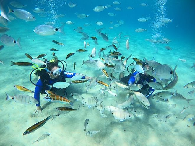 Native Bautismo de Buceo en Costa Teguise