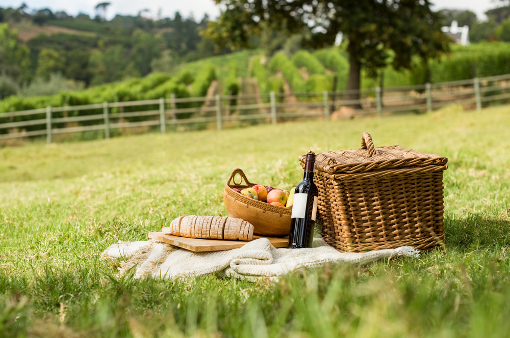The Town Of Fine Towers: Half Day Tour To San Gimignano With Picnic Experience In The Tuscan Hills - Photo 6