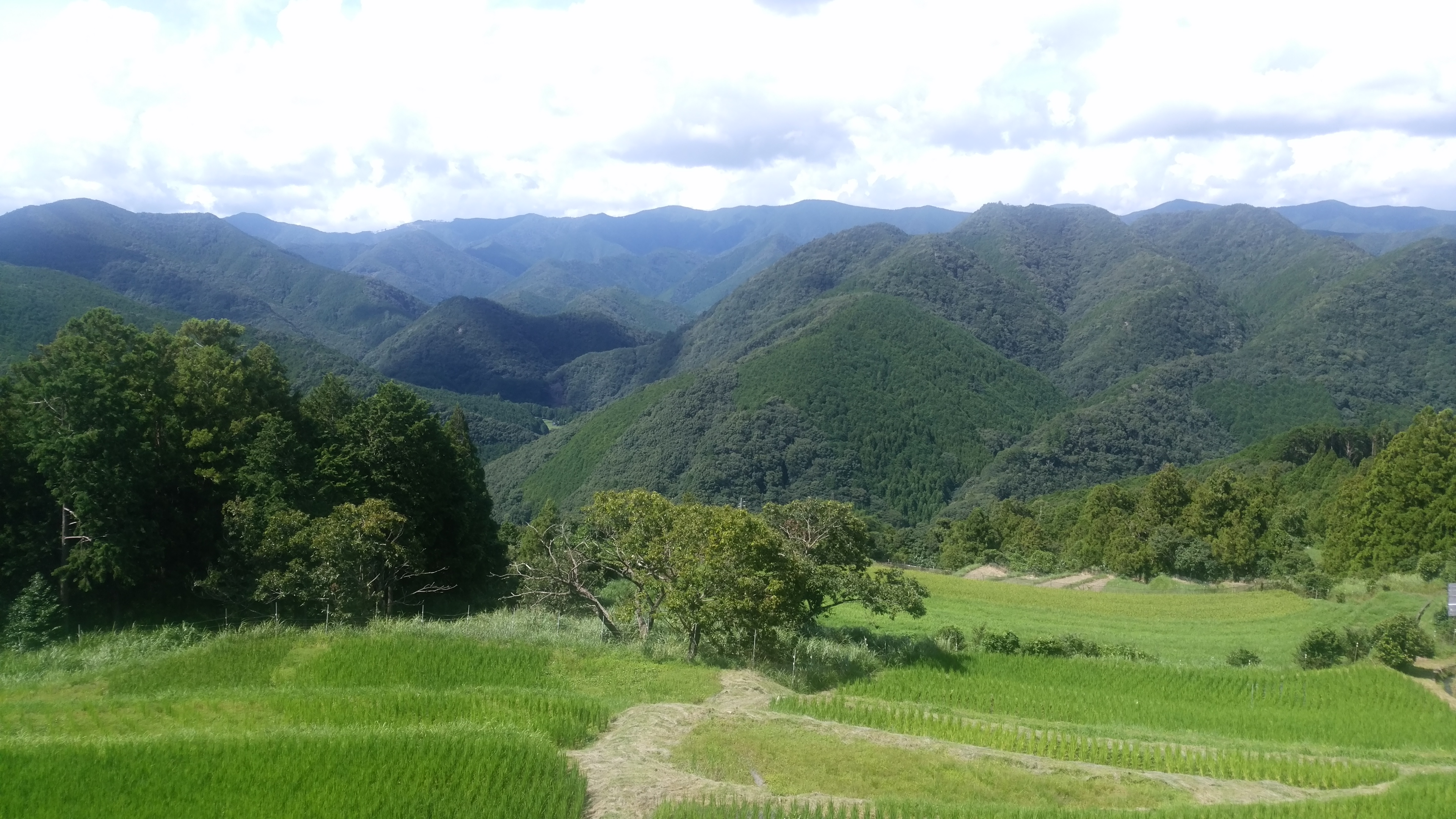 ���_�����Ԋ�����Ђ̃C���[�W