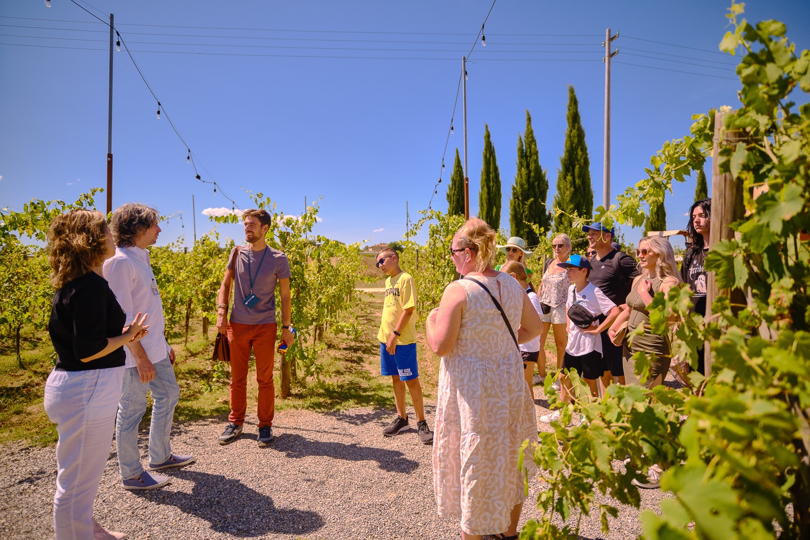 Tuscany Highlights Guided Small-Group Tour from Florence - Photo 17