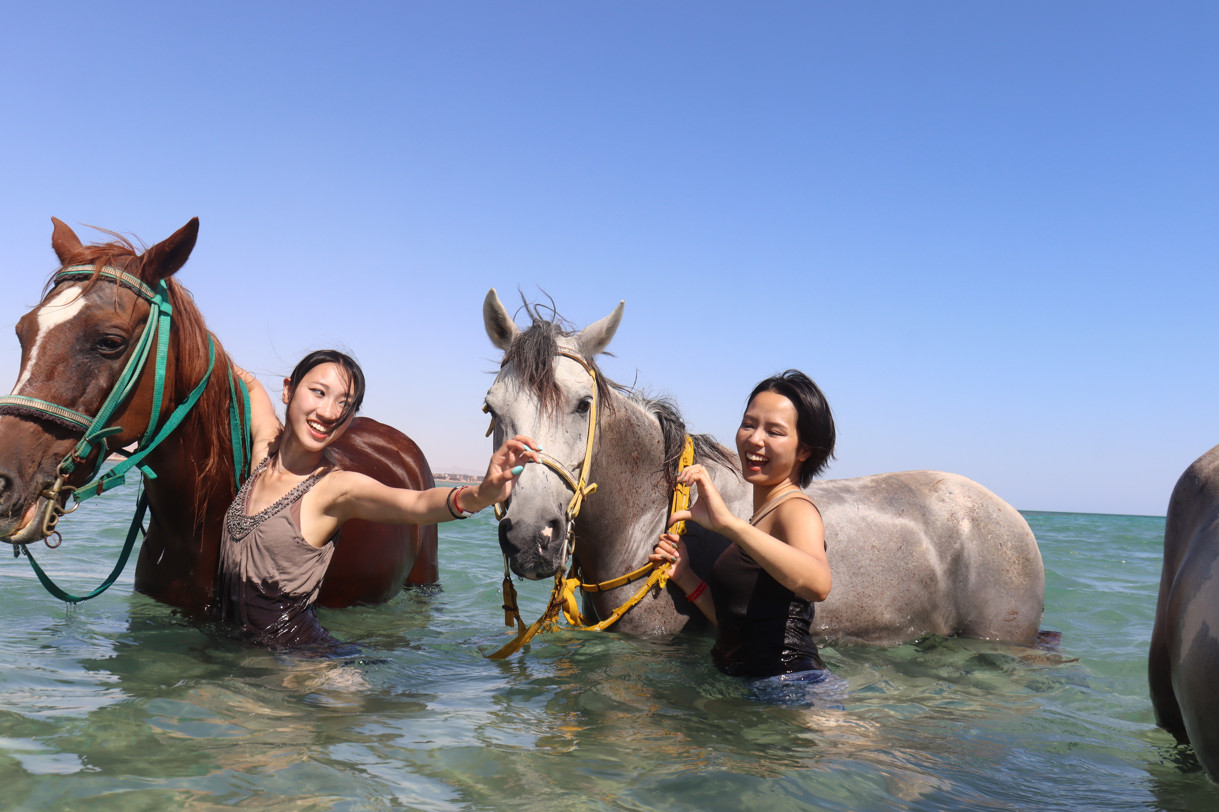 Aventura premium a caballo de 3 horas con natación - Hurghada - Foto 4