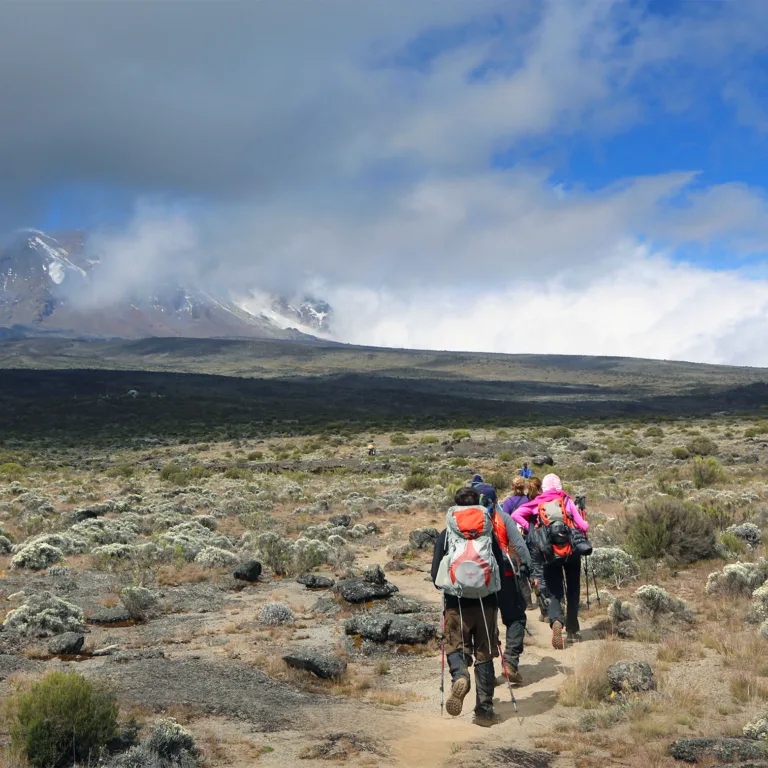 Summit day: Barafu to Uhuru Peak and return to Barafu 1
