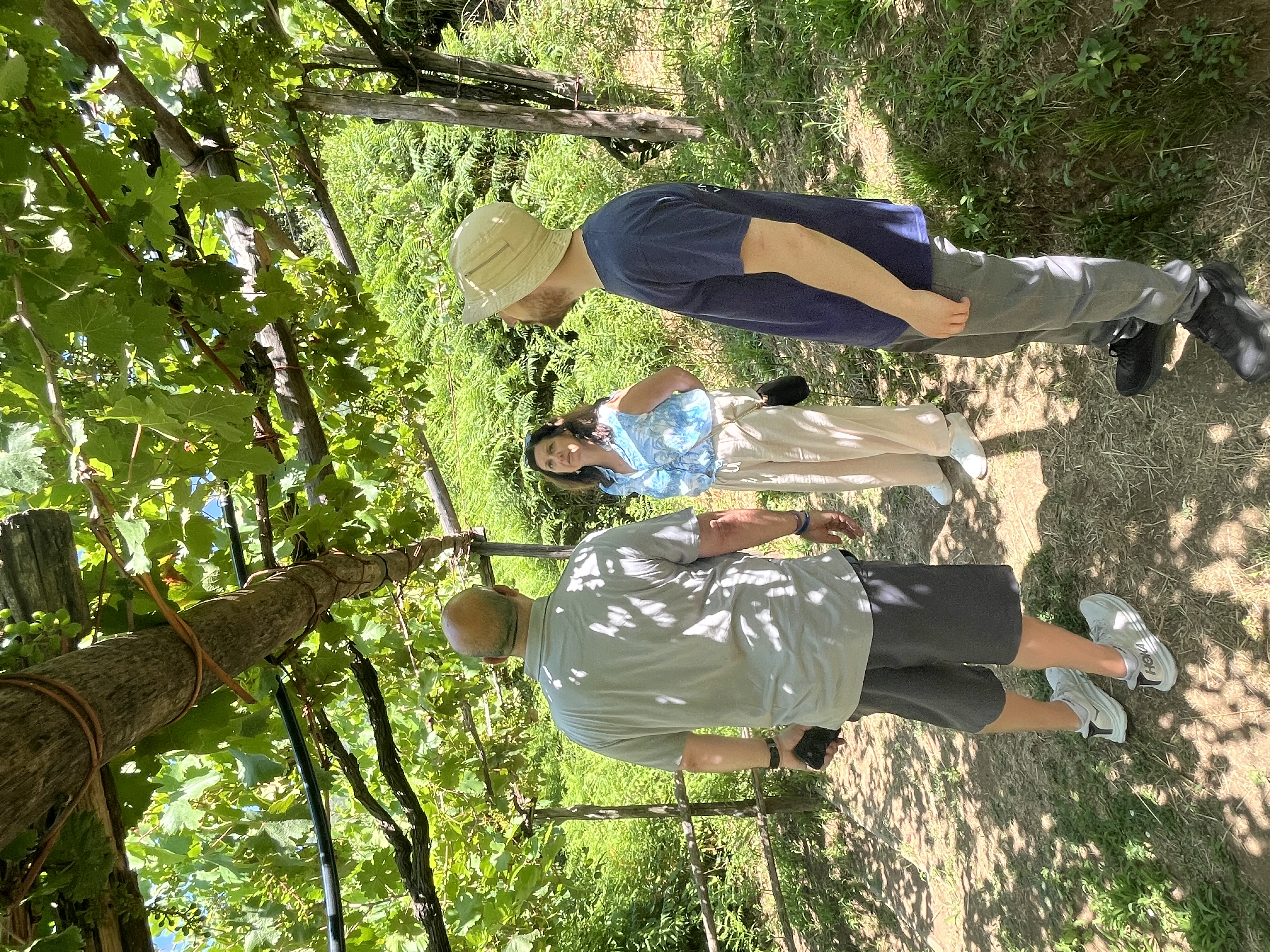 Three people standing under a grapevine trellis in a garden.