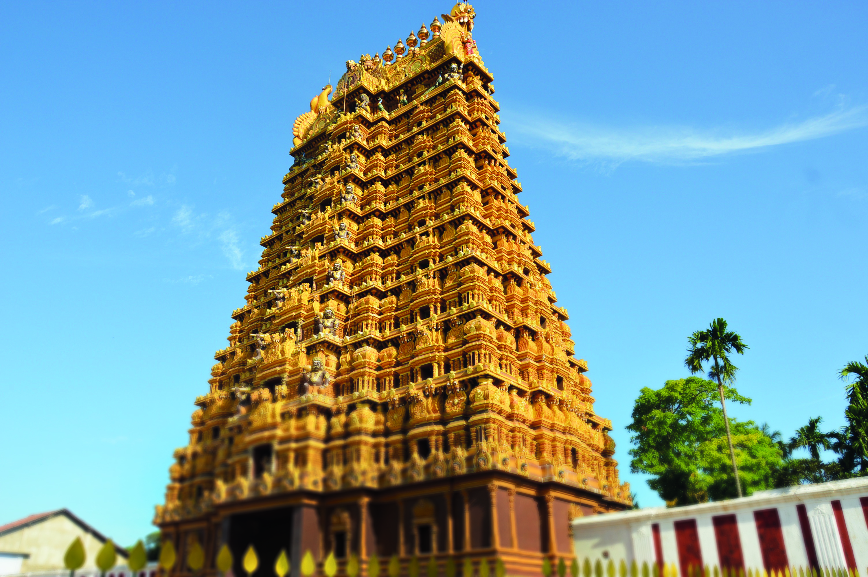 Sailing Vacation in Jaffna (4 Days)