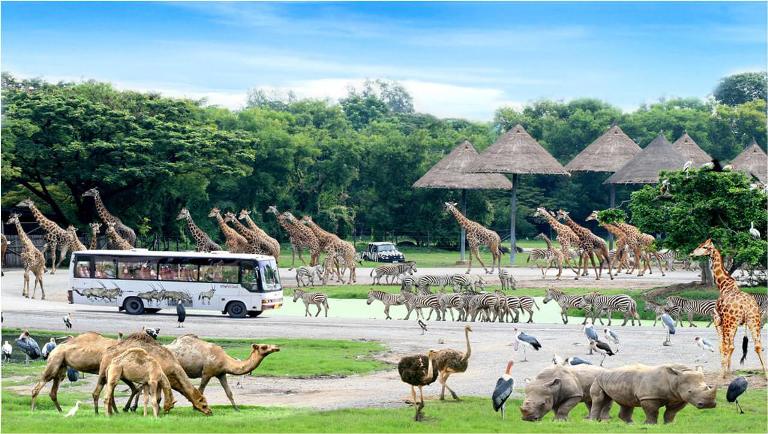 BANGKOK: Únase al tour: Tour de día completo Safari World - Marine Park - Almuerzo buffet con traslado privado
