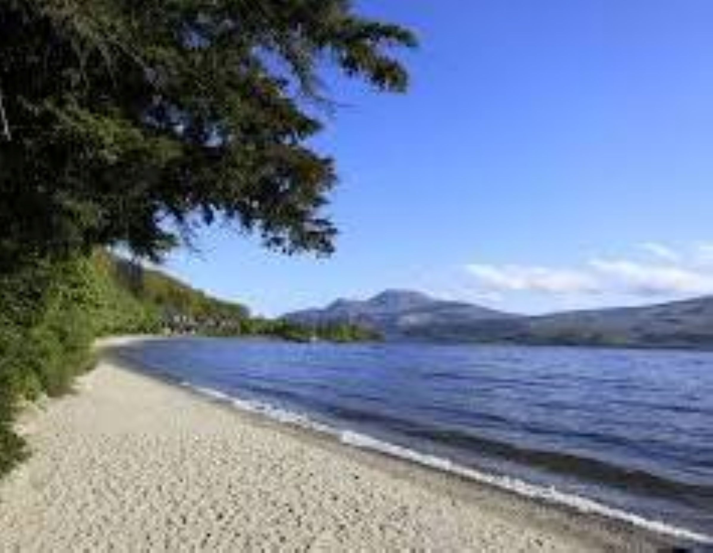 Excursión en crucero por Greenock: lago Lomond y castillo de Stirling - Foto 5