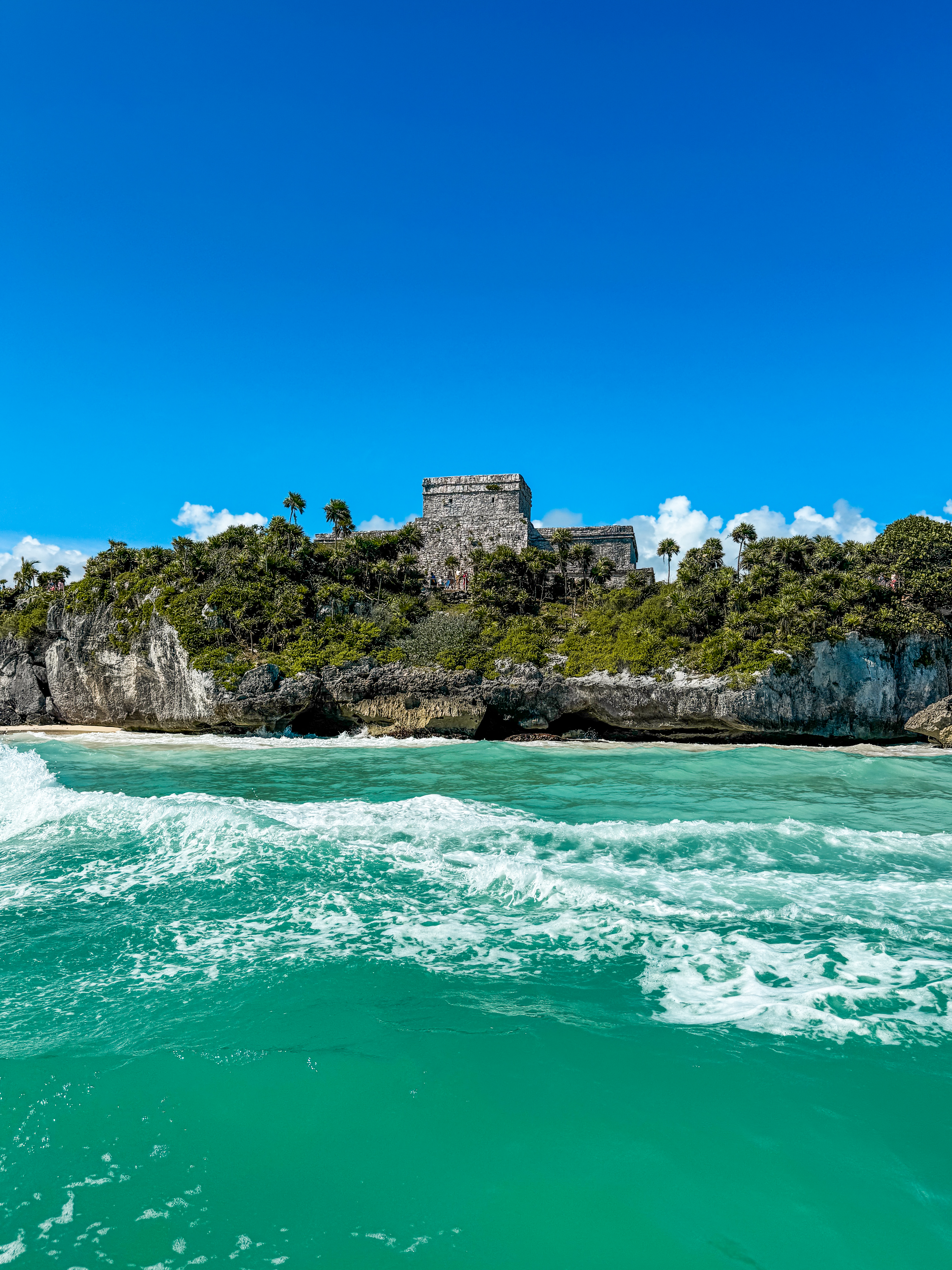 1.5 hours Snorkeling at Tulum's paradise reef — 91/92