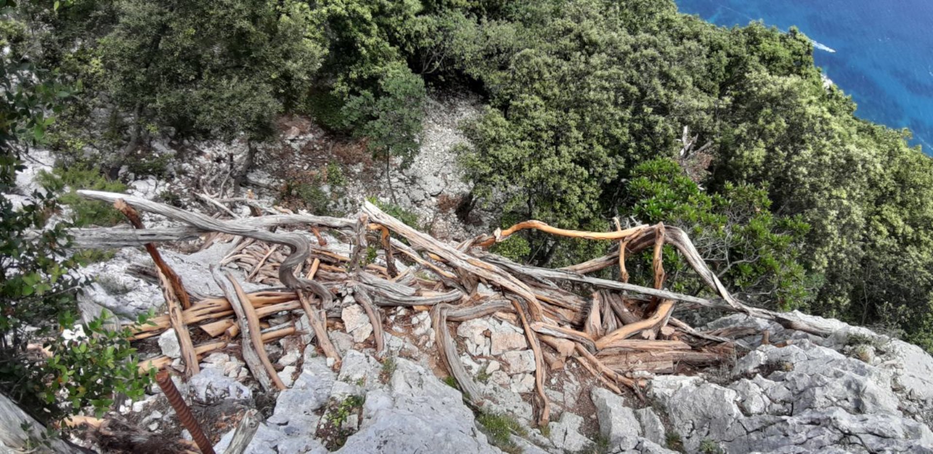 From Baunei: trekking to Cala Mariolu - Photo 8