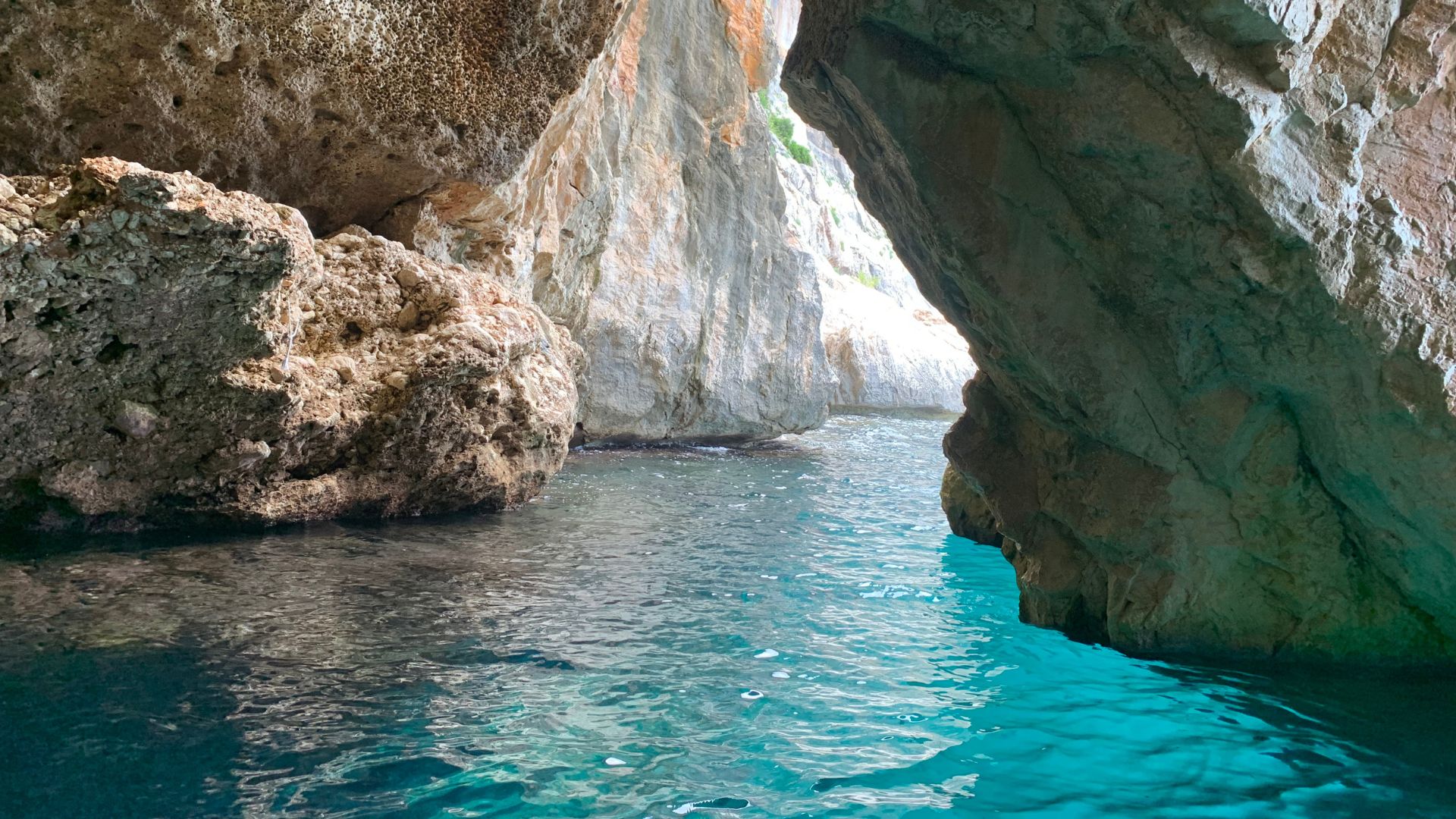 From Arbatax: RIB trip between Cala Luna and Cala Goloritzé - Photo 5
