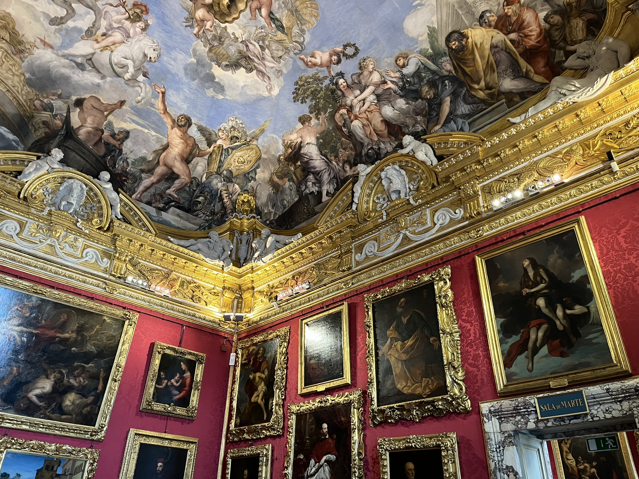 Pitti Palace & Boboli  Gardens tour with a local Guide - Photo 2