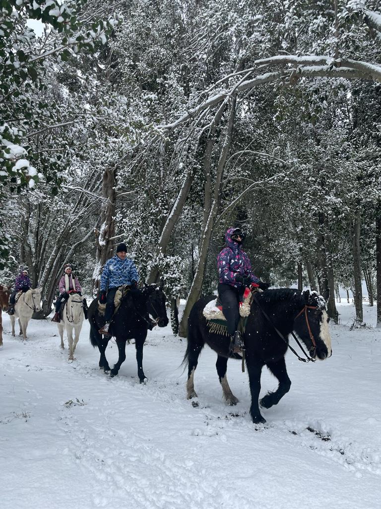 Cabalgata Los Baqueanos - Lago Gutiérrez - Foto 3