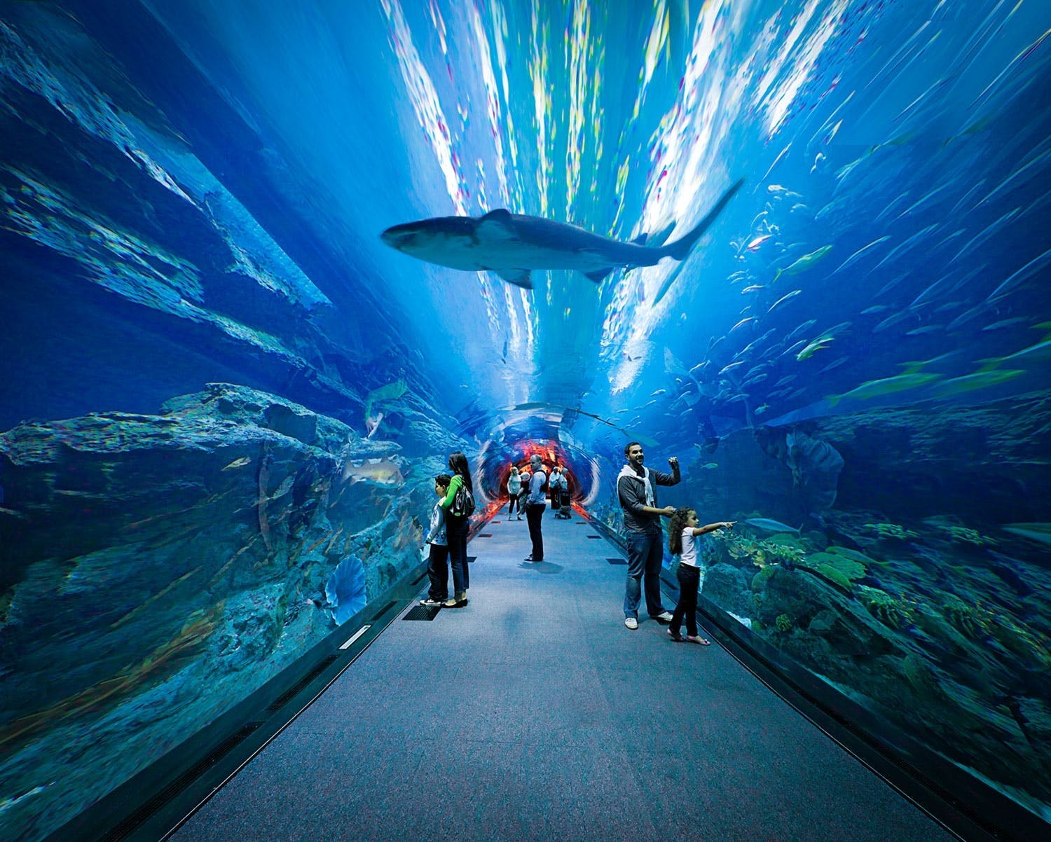 Burj Khalifa 124/125th floor visit, Dubai Mall shopping, Aquarium & Zoo tour & Marina Dhow Cruise with Dinner with Roundtrip Transfer
