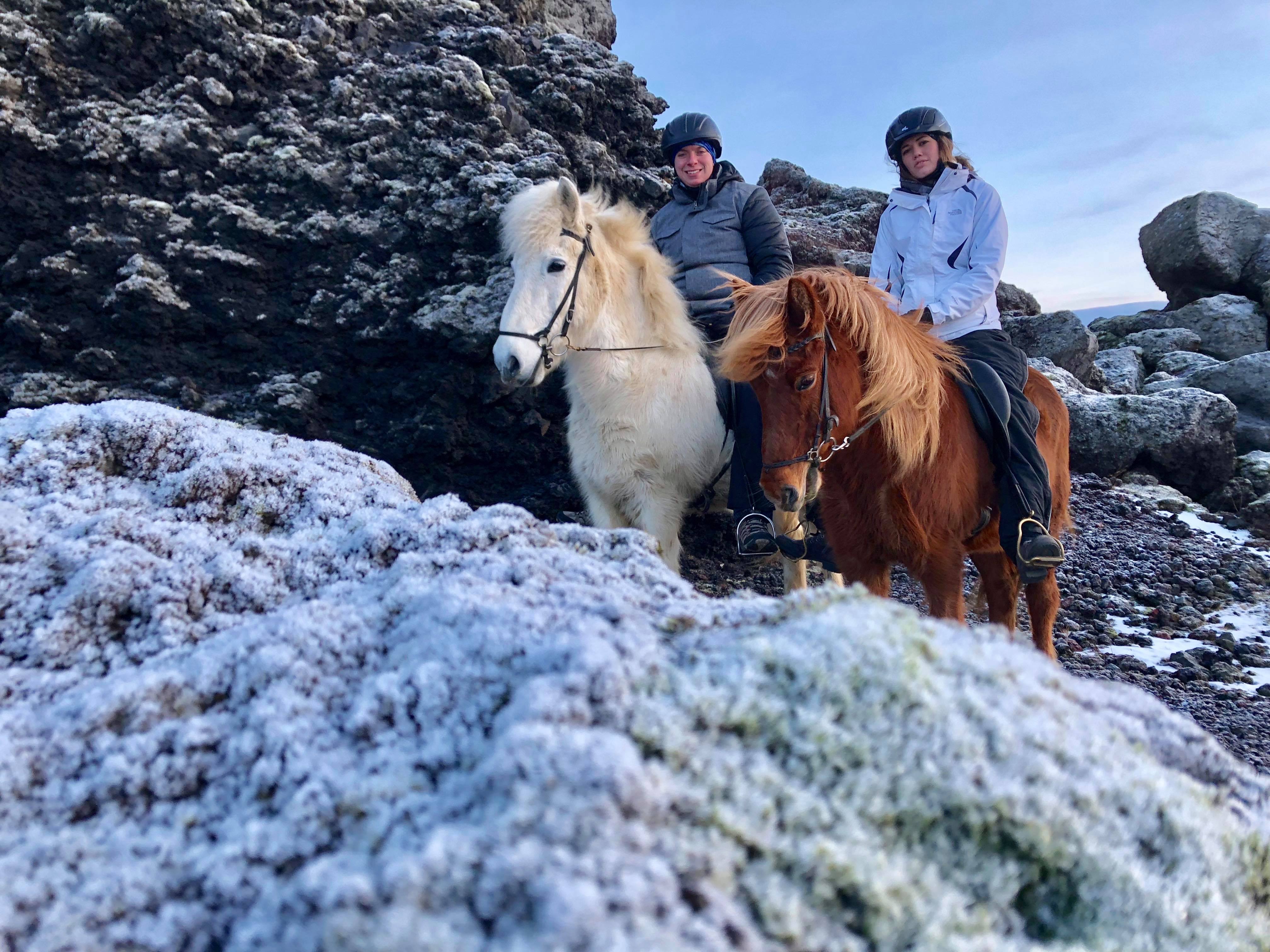 On request: 1,5  Hours Private Tour  - photo 2