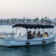 Crucero privado en barco eléctrico de lujo con vino, tabla de embutidos y avistamiento de leones marinos - Foto 5