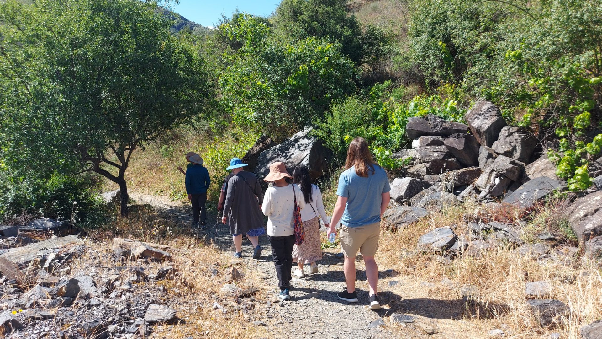 Private Douro Tour: Foz Côa Rock Art, Pinhão and Scenic Douro - Photo 6