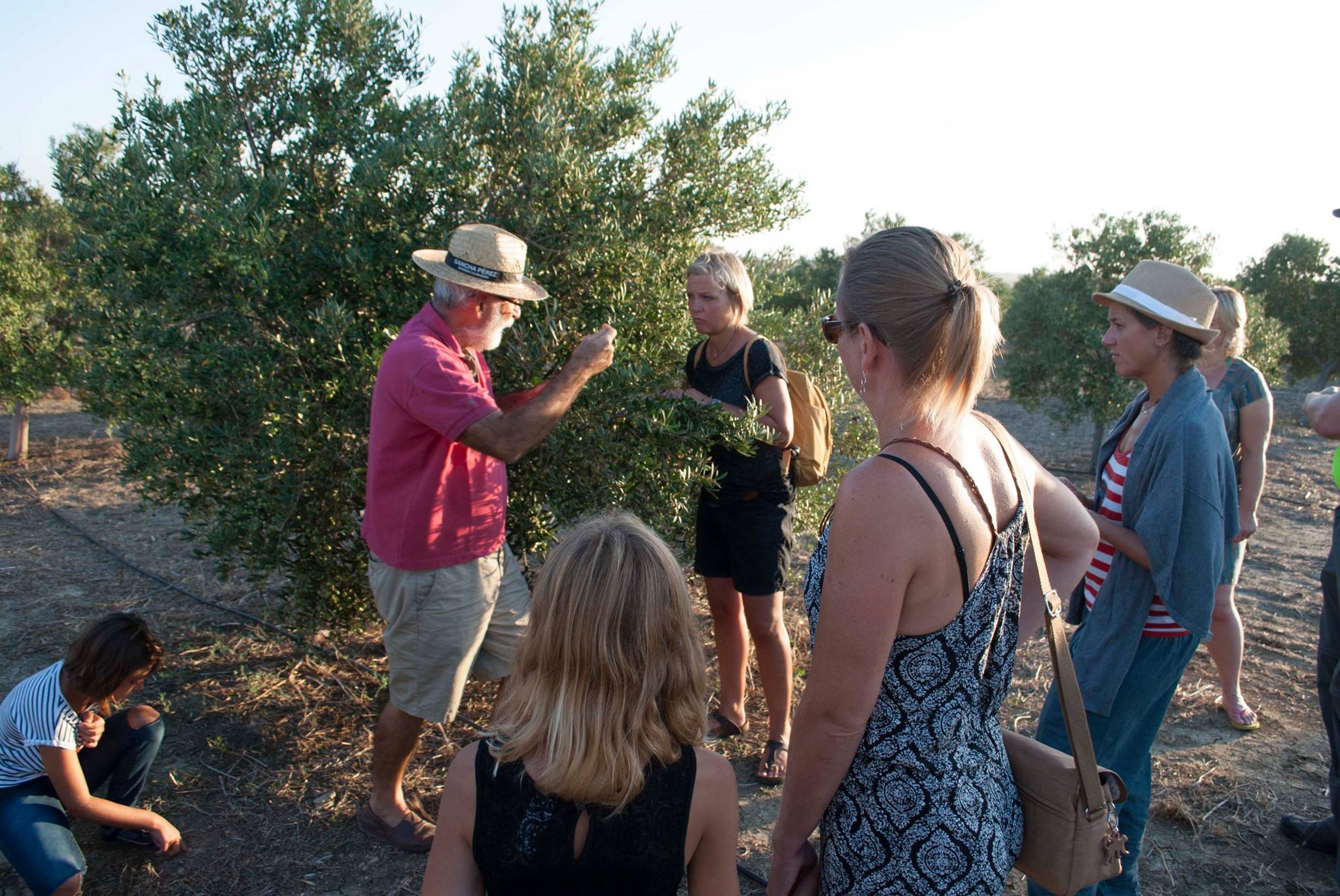 Descubre la Bodega y Almazara Sancha Pérez de Conil. Visita guiada con degustación incluida
